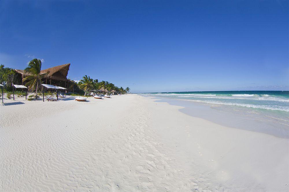 Las Ranitas Eco Boutique Hotel Tulum Exteriér fotografie