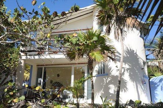 Las Ranitas Eco Boutique Hotel Tulum Exteriér fotografie