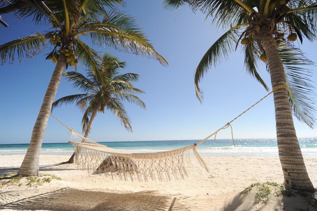 Las Ranitas Eco Boutique Hotel Tulum Exteriér fotografie